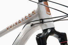 Load image into Gallery viewer, Nearly New Privateer 161 Complete Bike (GX Copper) Gen 1